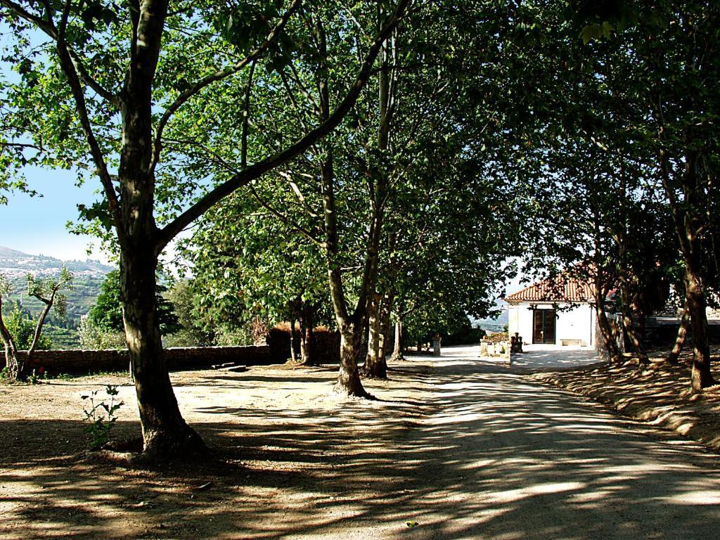 Casa De Vilarinho De S. Romao سابروسا المظهر الخارجي الصورة